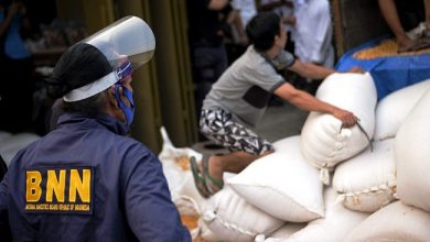 Photo of Ngeri, BNN Amankan Sabu 200 Kg di Gudang Beras