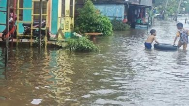 Photo of Banjir Kalsel: Fasilitas Kurang, Warga Sulit Dievakuasi dan Banyak Terjebak