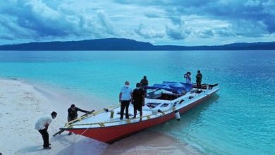 Photo of Ratusan Lumba-lumba Sapa Gubernur Isran di Berau
