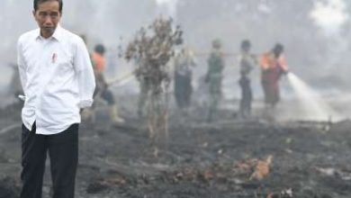 Photo of Cegah Kebakaran Hutan, Kaltim Siapkan 2.500 Personel