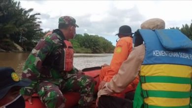 Photo of Buaya Muara Terkam Dimas di Depan Ayahnya, SAR: Kami masih Nyari Korban