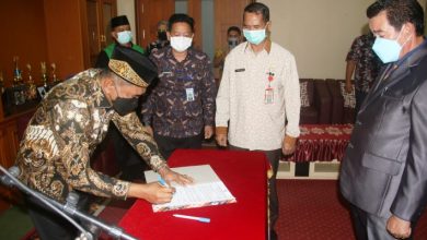 Photo of Hamdam Lantik Alimuddin jadi Dewas Perumda Benuo Taka