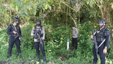 Photo of Gelar Patroli di Titik Nol IKN, Satgas Ops Nusantara Polda Kaltim Pastikan Situasi Kondusif