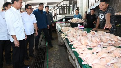 Photo of Presiden Jokowi Cek Harga dan Berikan Bantuan ke Pedagang di Pasar Temenggoeng Djaja Karti