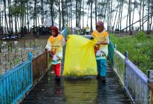 Photo of OIKN Gelar Aksi Bersih Pantai dan Penanaman Mangrove