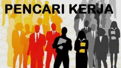 Photo of Tingginya Angkatan Kerja Muda di Penajam Paser Utara, Disnakertrans Pacu Keterampilan Mandiri dan Akses Bursa Kerja