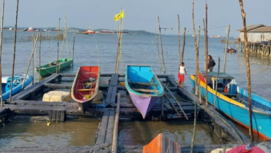 Photo of Sokong Produktivitas Nelayan, Dinas Perikanan PPU Salurkan Puluhan Mesin Kapal dan Ratusan Alat Tangkap