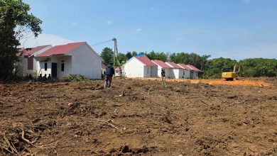 Photo of Dinas Perkimtan Catat 16 Kawasan Perumahan Berstatus Pasif dari Total 75 Lokasi Terdata